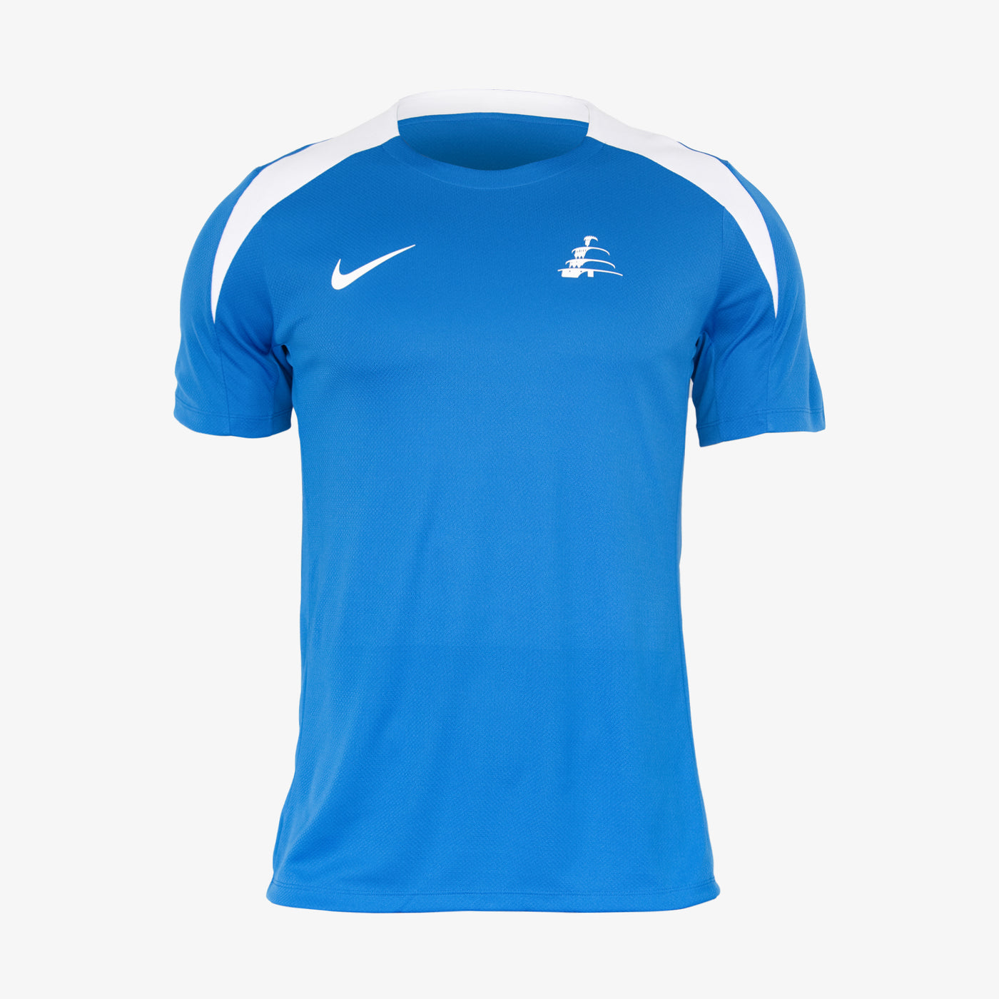 Al Ain Club Men’s Training T-Shirt