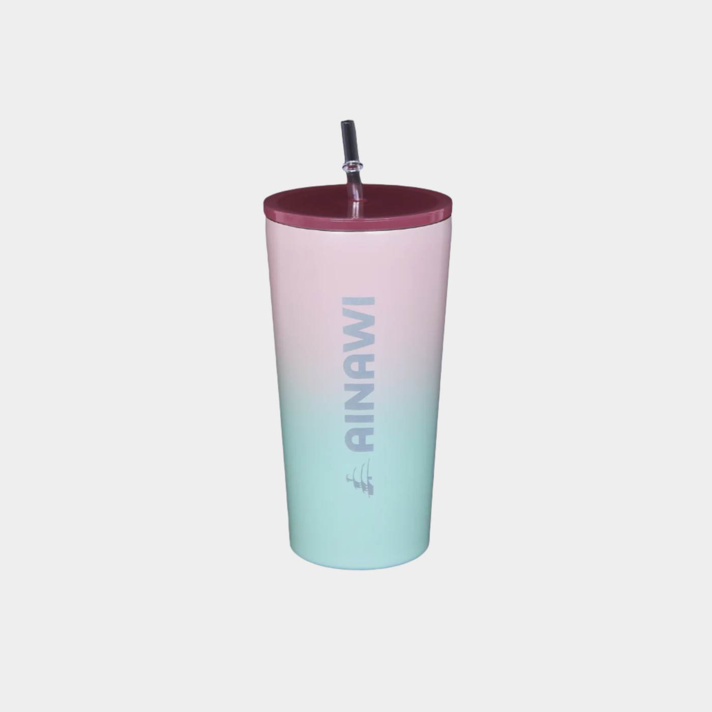 Ainawi Gradient Tumbler – Insulated with Straw